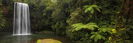 Milla Milla Falls - QLD (PBH4 00 16941)